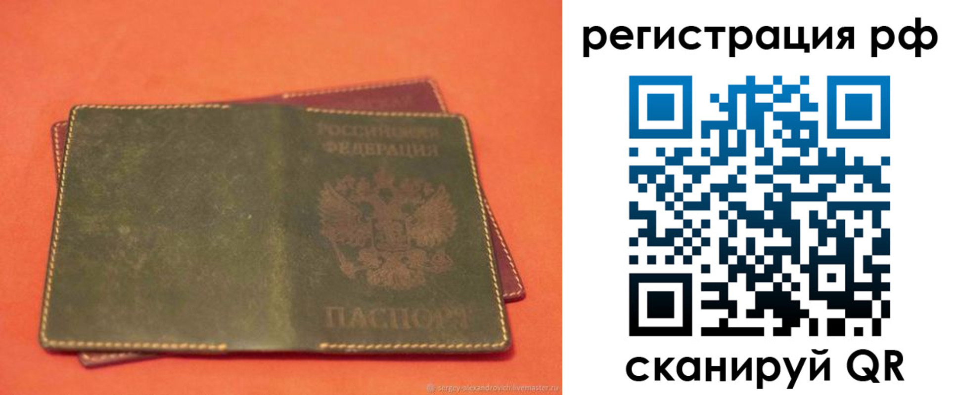 прописка 2025 в Купино